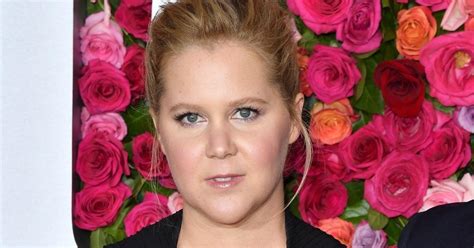 Amy Schumer Lookalike Truck Stop Photo Debunked.